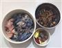 茶树菇乌鸡汤的做法图解1