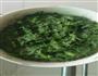 茴香摊鸡蛋的做法图解4